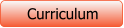 Curriculum
